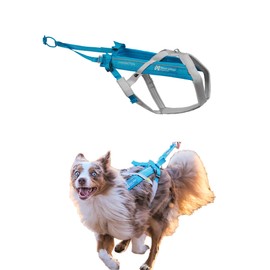 Non-stop dogwear Freemotion harness 5.0 Dog Pulling Harness for Sports like Running, Biking and Skiing with Dogs, Professional Adjustable Dog Harness, Blue/Gray, Size 3