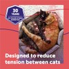CEVA Animal Health D89410B Feliway MultiCat Starter Kit, 48ml