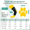 Strap-On Drop Foot Brace (No Knuckling Boot Brace) for Dogs—