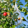 VBWSL 6 x 50 FT Transparent Bird Netting for Garden,