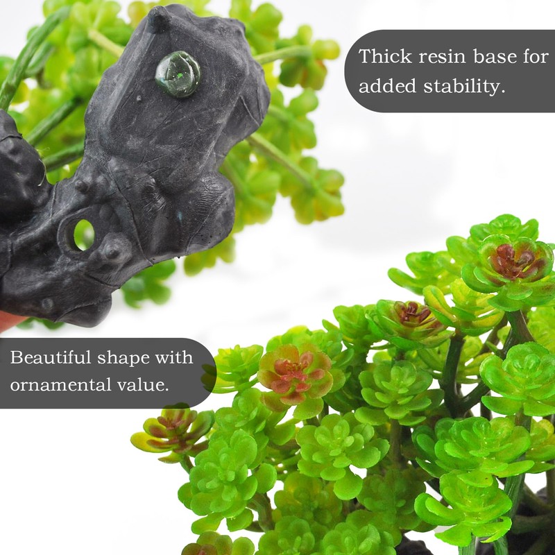 MUYG 3 PCS Bearded Dragon Tank Accessories, Reptile Hideout Wooden