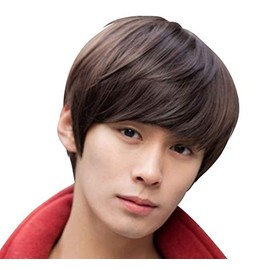 Wig, Short, Men's Wig, Full Wig, Short Hair, Straight, Fashion, Unisex, Handsome, Imechen, Men's Clothing, Small Face, With Net, Heat-resistant Fiber/Z856 (Black)