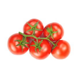 Bush Champion II Hybrid - Tomato Seeds