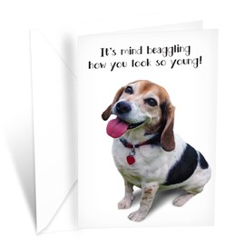 Funny Dog Birthday Card Pun With Beagle | Made in America | Eco-Friendly | Thick Card Stock with Premium Envelope 5in x 7.75in | Packaged in Protective Mailer | Prime Greetings