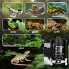LANUEVA Reptile Humidifier, Quieter Mister Fogger for Terrarium with 4