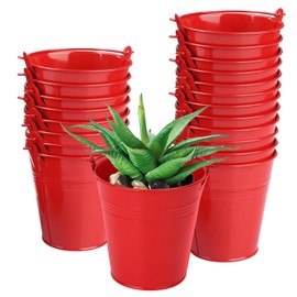 Biugaaufai 20 Pack 4 Inch Red Mini Metal Bucket, Elegant Galvanized Buckets with Handles, Tin Buckets, Small Iron Bucket, Mini Metal Pail for Party Favors, Crafts, Garden & Beach