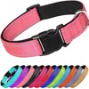 Collar Reflejante para Perro y Gato, Diseño Cómodo, Resistente. Ideal