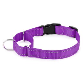 PLUTUS PET Reflective Martingale Collar with Quick Snap Buckle,No Pull Dog Choker Collar for Small Medium Large Dogs,XS,Purple