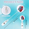 Andibro Pack of 2 Anatomy Nurse Badge Holder, Retractable Heart