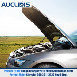 Hood Replacement Lift Support for Dodge Charger 2011-2020 Sedan Only, Chrysler 300 2011-2022, Bonnet Shock Strut Arm Damper Replace# 55113776AA, 55113777AA, 55113776AC, Set of 2 by AUCLIDIS
