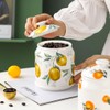 WAIT FLY Ceramic Tea Caddy Tea Canister Large Capacity Food