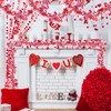 66FT Valentine's Day Heart Tinsel Garland Pink Red Metallic Twist