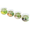 4pcs 1:12 Scale Miniature Glass Goldfish Bowl DIY Fish Bowl