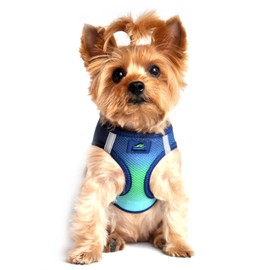 Doggie Design No Choke Dog Harness - Simple Step-in and Go Dog Vest for Small, Medium, and Large Breeds - Breathable Mesh Polyester Pet Harness - Northern Lights - S