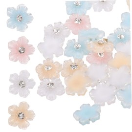 WOONEKY 2bag Nail Charms Nail Art Art Charms Jewelry Flowers and Gems for DIY Manicure