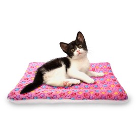 FJWYSANGU Fluffy Pet Cat Blanket Soft Coral Velvet Pet Puppy Cushion Mat Warm Cover Soft Pad Mat M Pink