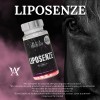 Creatina Monohidratada 1kg + Reductivo Lipasa Lipoesenze B P