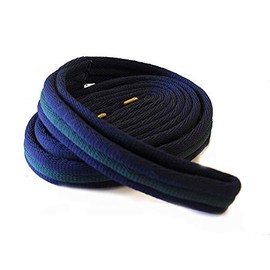 Rhinegold Padded Lead, Navy/Green