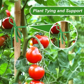 Shintop Shintop 2 Packs Garden Twine, Soft Plant Ties Green Tomato Ties Stretchy Garden String for Supporting and Tying Climbing Plants Veggies Flower(98 Feet/Roll