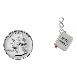 Delight Jewelry Silvertone Bible with Cross Silvertone Infinity Post Earrings