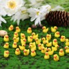 Pack of 50 Mini Resin Ducks, Miniature Ducks Gnome Tiny