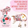 Nasjac Recovery Suit for Dogs - Zipper on Recovery Suit