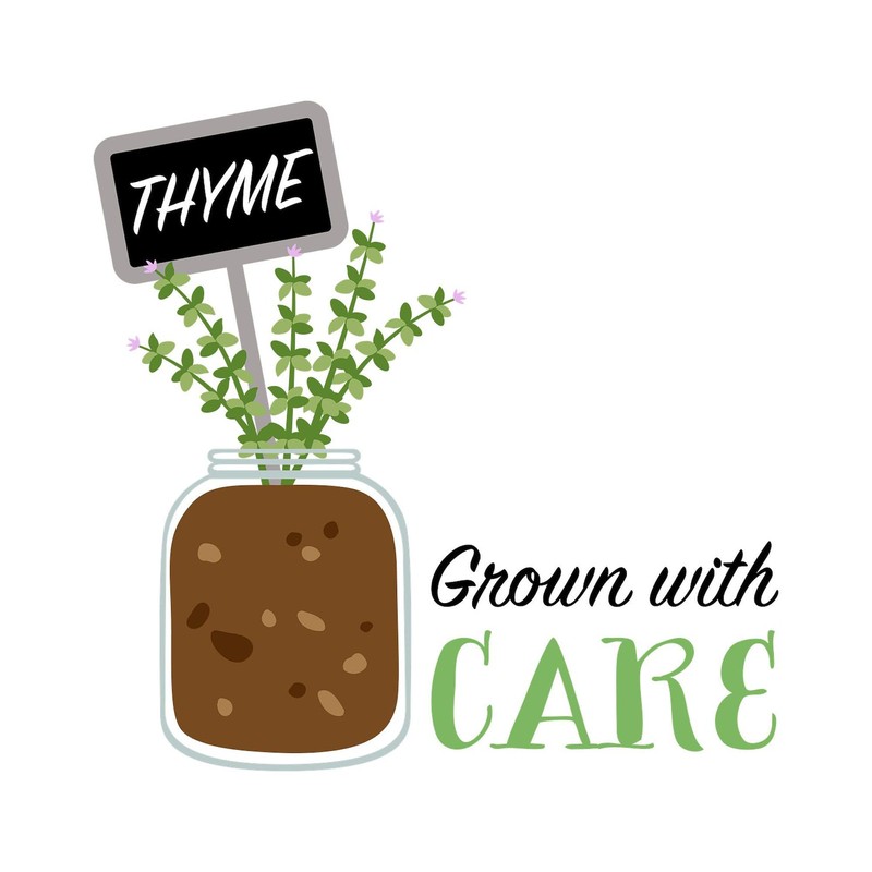 CafePress Grow Thyme Magnets Rectangle Magnet (100 pack)