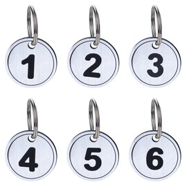 Aspire 50 PACK ABS Key Tags with Ring, Numbered ID Tags Key Chain Silver 1-50