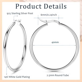 FIOROYAL Hoop Earrings 925 Silver for Women Earrings 925 Silver Hoop Earrings Hypoallergenic Large Medium Small Earrings Hoop for Girls 13/15/20/25/30/40/50 mm, Silver