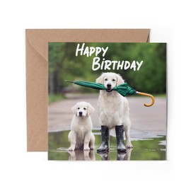 1 x Greeting Card - Happy Birthday Golden Retriever Dogs Puppy Animals Pets Funny Love Wife Partner Mum Dad Girls Boys Friend #79780