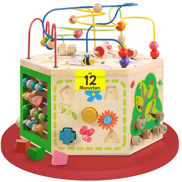 EverEarth Garden Activity Cube. Wood Shape & Color Sorter, Bead