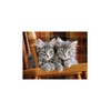 Clementoni Kitten Puzzle (500 Piece)