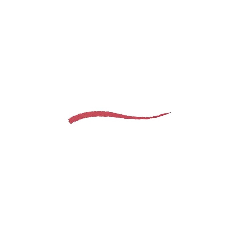 Kiko Milano New Everlasting Colour Precision Lip Liner 509 Lápiz