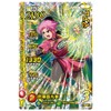 Dragon Quest Dai Adventure Cross Braid Limited Card & 9