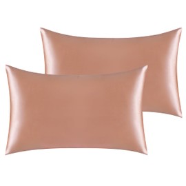 BAANI BEDDING Satin Pillow Cases 2 Pack - Soft Luxury Pillow Covers with Envelop closure - Satin Pillowcase for Hair and Skin - Standard Size 50 x 75 cm (2 Pack, Peach)