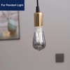 FLSNT LED Edison Bulbs, 5000K White Light Dimmable ST19 LED