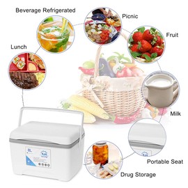 Portable Cooler Box,8L Cooler Box,Outdoor Rotomolded Cooler for Camping,BBQ,Pincnic,and Other Outdoor Activities