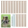 Solid Pure Copper Nails Spikes for Killing Trees Stumps Roots