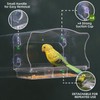 Window Bird Feeder with Strong Suction Cups - Clear Acrylic