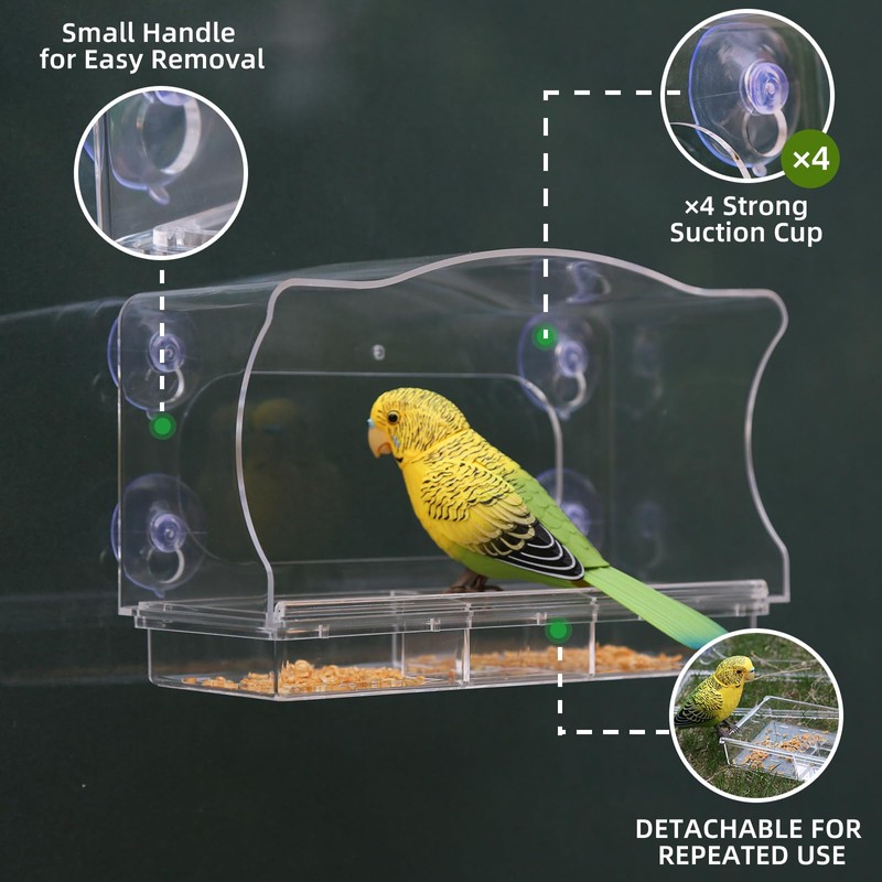 Window Bird Feeder with Strong Suction Cups - Clear Acrylic