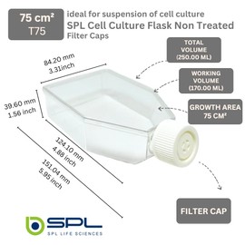 SPL Cell Culture Flask 75 cm2 (T75) Filter Cap, Non-Treated, Sterile, 100/Case