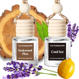 Burst Bird Burst Bird Car Air Freshener Hanging,Cute Air Diffuser for Car, Long Lasting Car Air Fresheners, Car Fresheners for Women, Made in USA (2 Pack)