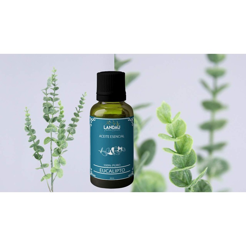 ACEITE ESENCIAL PURO DE EUCALIPTO 30ML