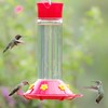 Perky-Pet 209B-1SR Glass Hummingbird Feeders for Outdoors Hanging - 30