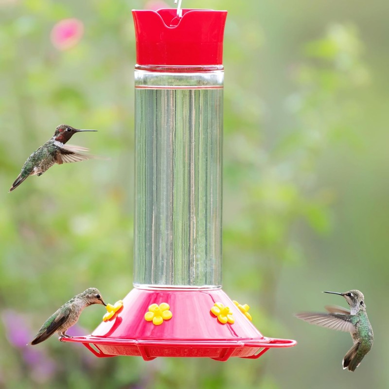 Perky-Pet 209B-1SR Glass Hummingbird Feeders for Outdoors Hanging - 30