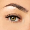 NICLAY Eyelash Lines 3D Lashes (Grace)