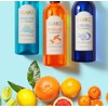 CLABO 딥클린 샴푸 트로피칼 시트러스, 960ml, 2개 CLABO Deep Clean