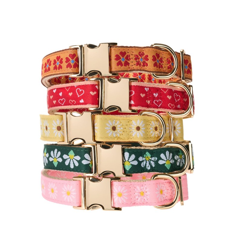 Adjustable Jacquard Webbing in Yellow Daisy Pattern Dog Collar with