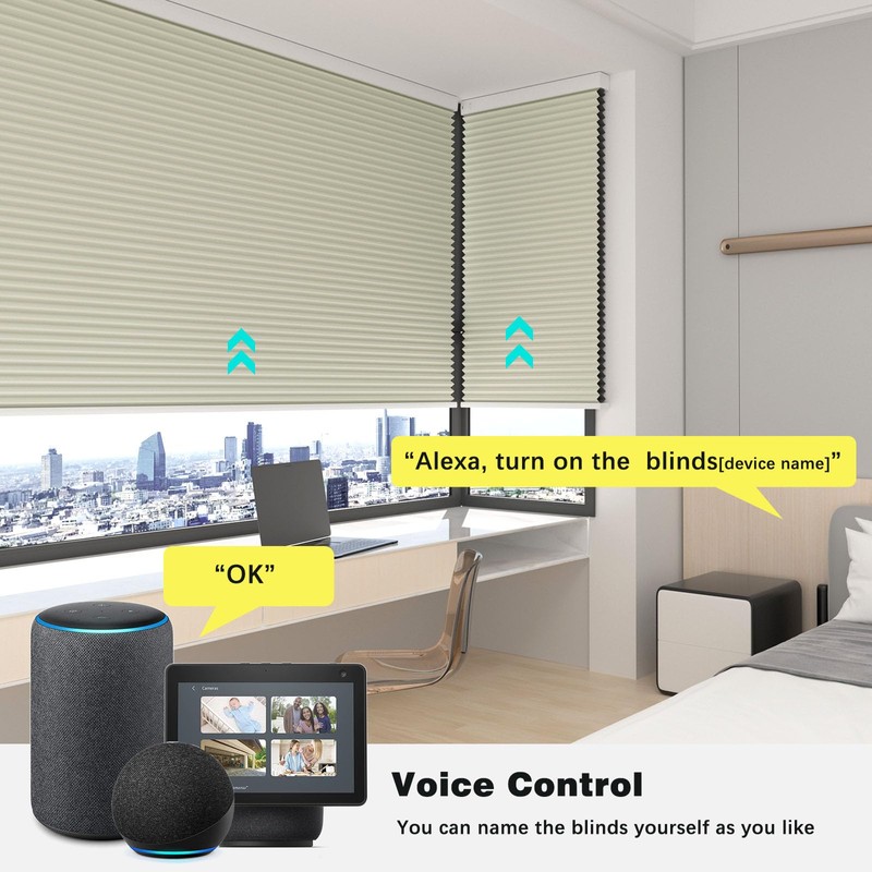 Changshade Blackout Smart Blinds Cellular Shades for Windows Doors Motorized