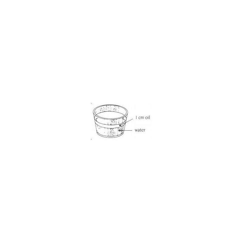 Water Candles - Romantic Floating Water Candles - Invisible Floating